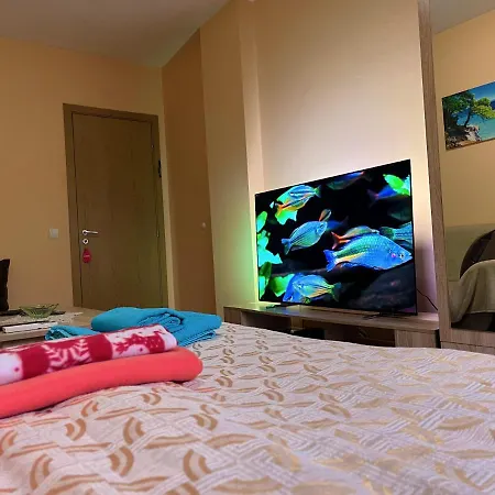 One Bedroom Near Downtown Sofia