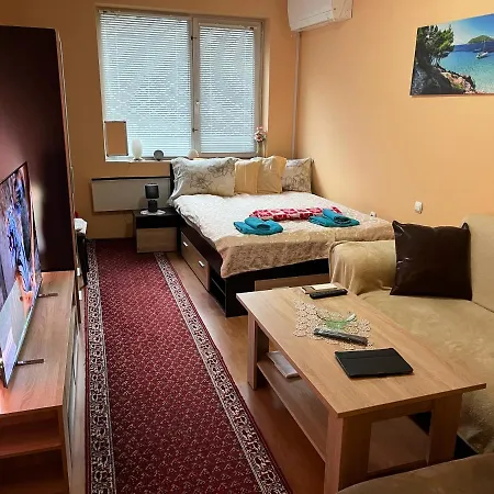 One Bedroom Near Downtown Apartment